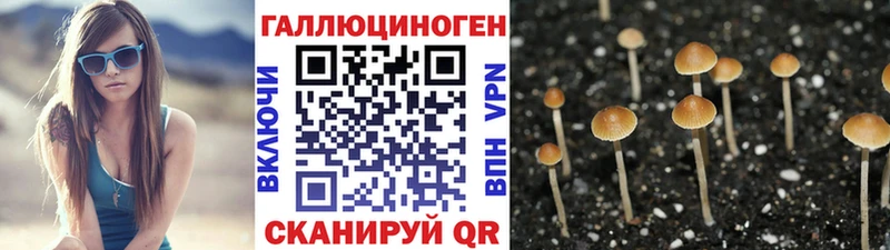 продажа наркотиков  Ртищево  Псилоцибиновые грибы мицелий 