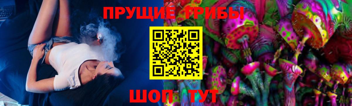 Ртищево  Псилоцибиновые грибы MAGIC MUSHROOMS  Вход с VPN  где продают наркотики  Галлюциногенные грибы прущие грибы 